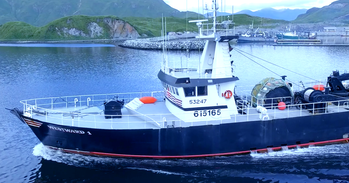 大洋食品です。長崎の地から皆様の日々の食卓を彩る