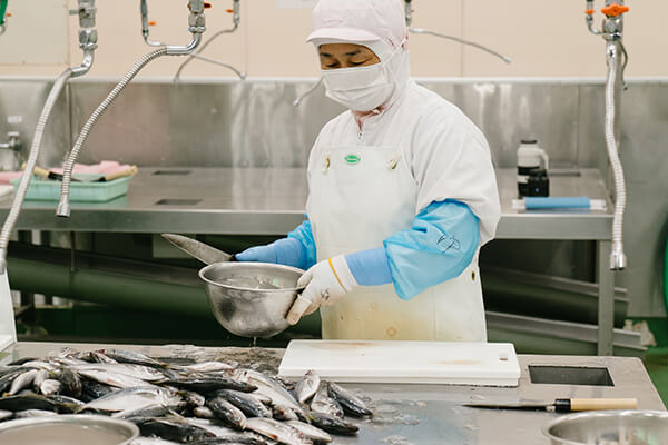 開きあじの加工