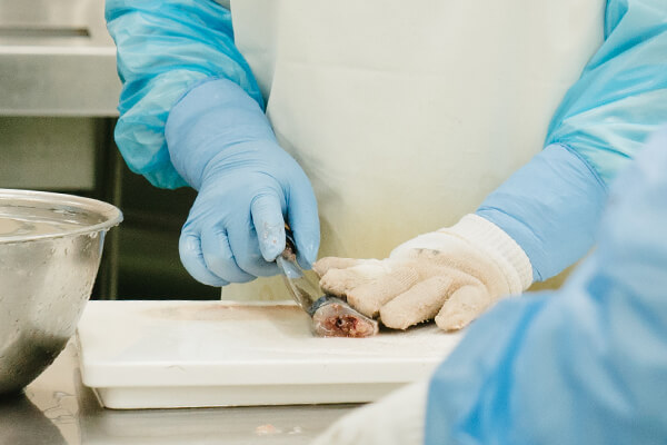 開きあじの加工