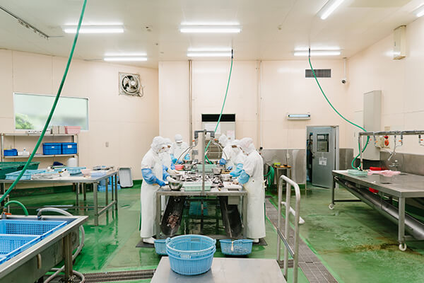 開きあじの加工