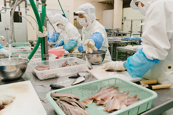 開きあじの加工