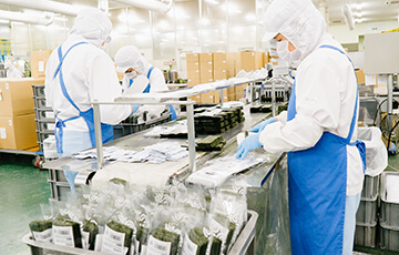 袋物商品向けの切断後の検品作業と詰作業