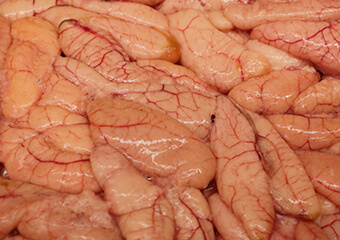 スケソウタラの卵